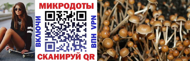 Псилоцибиновые грибы GOLDEN TEACHER  Невьянск 